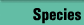 Species search