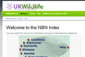 The NBN Index 2010