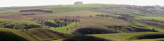 The Wiltshire Downs at Cherhill