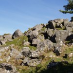 Crownhill Tor