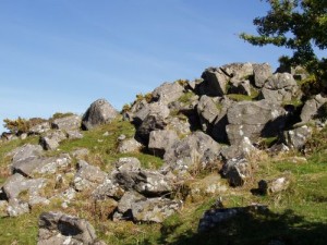 Crownhill Tor